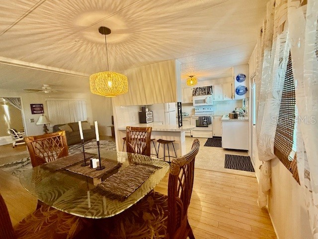 184 Independence Avenue #8 Palm Harbor FL 34684 - LAKE TARPON TB8495345 image9