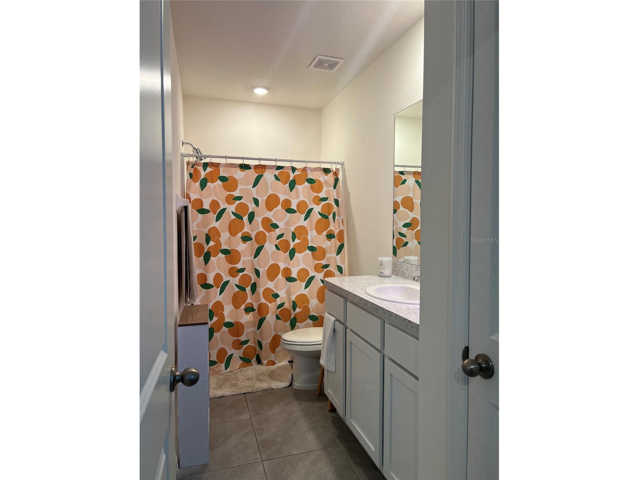 184 Mangrove Shade Circle Apollo Beach FL 33572 TB8488520 image22