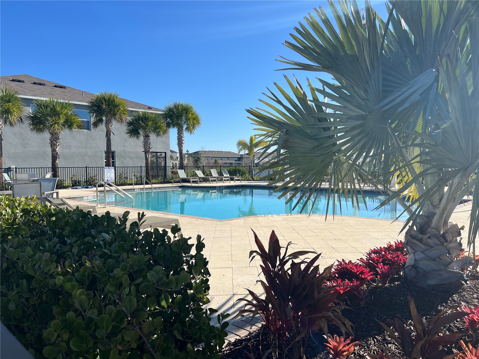 184 Mangrove Shade Circle Apollo Beach FL 33572 TB8488520 image34