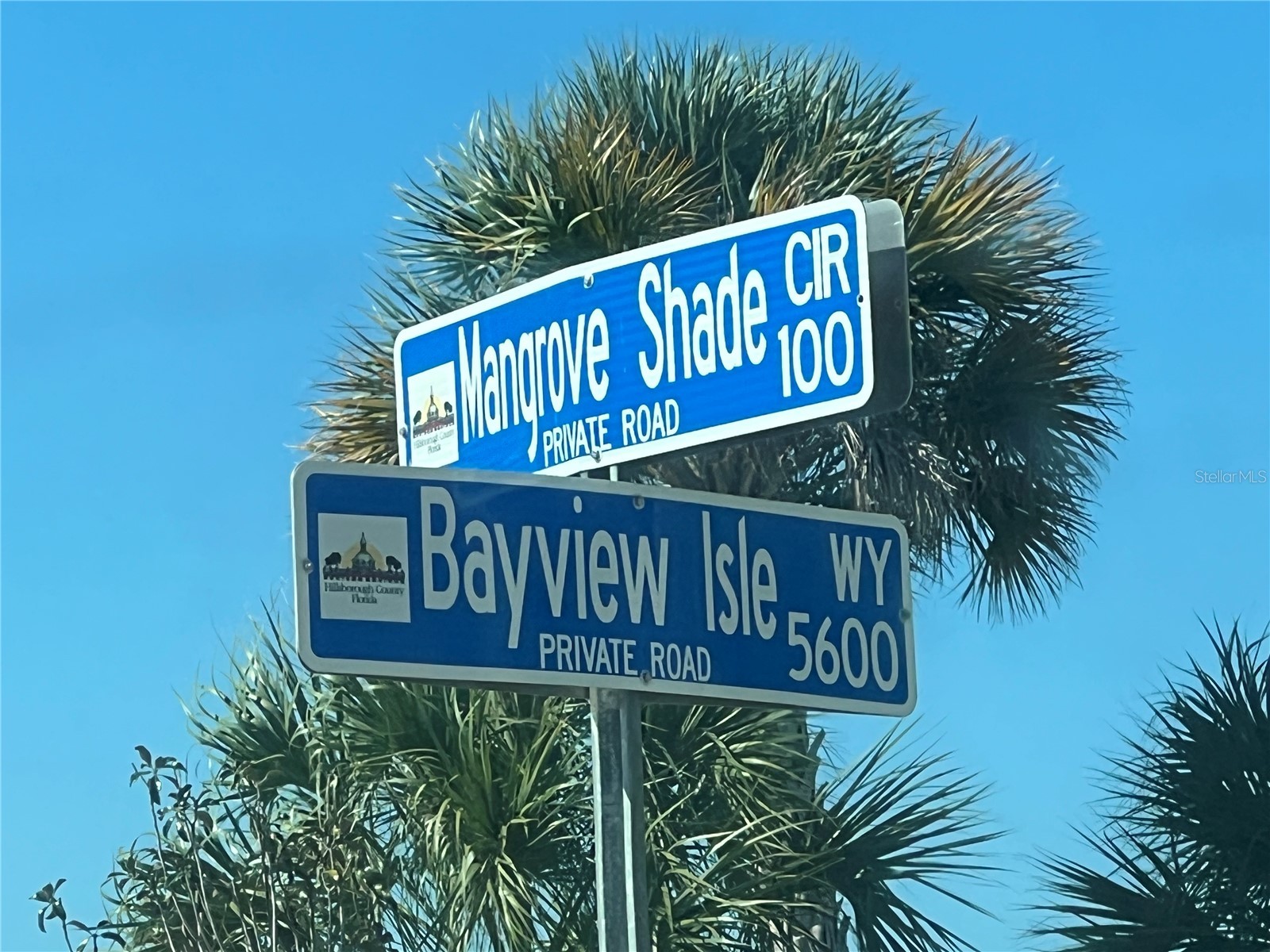 184 Mangrove Shade Circle Apollo Beach FL 33572 TB8488520 image39