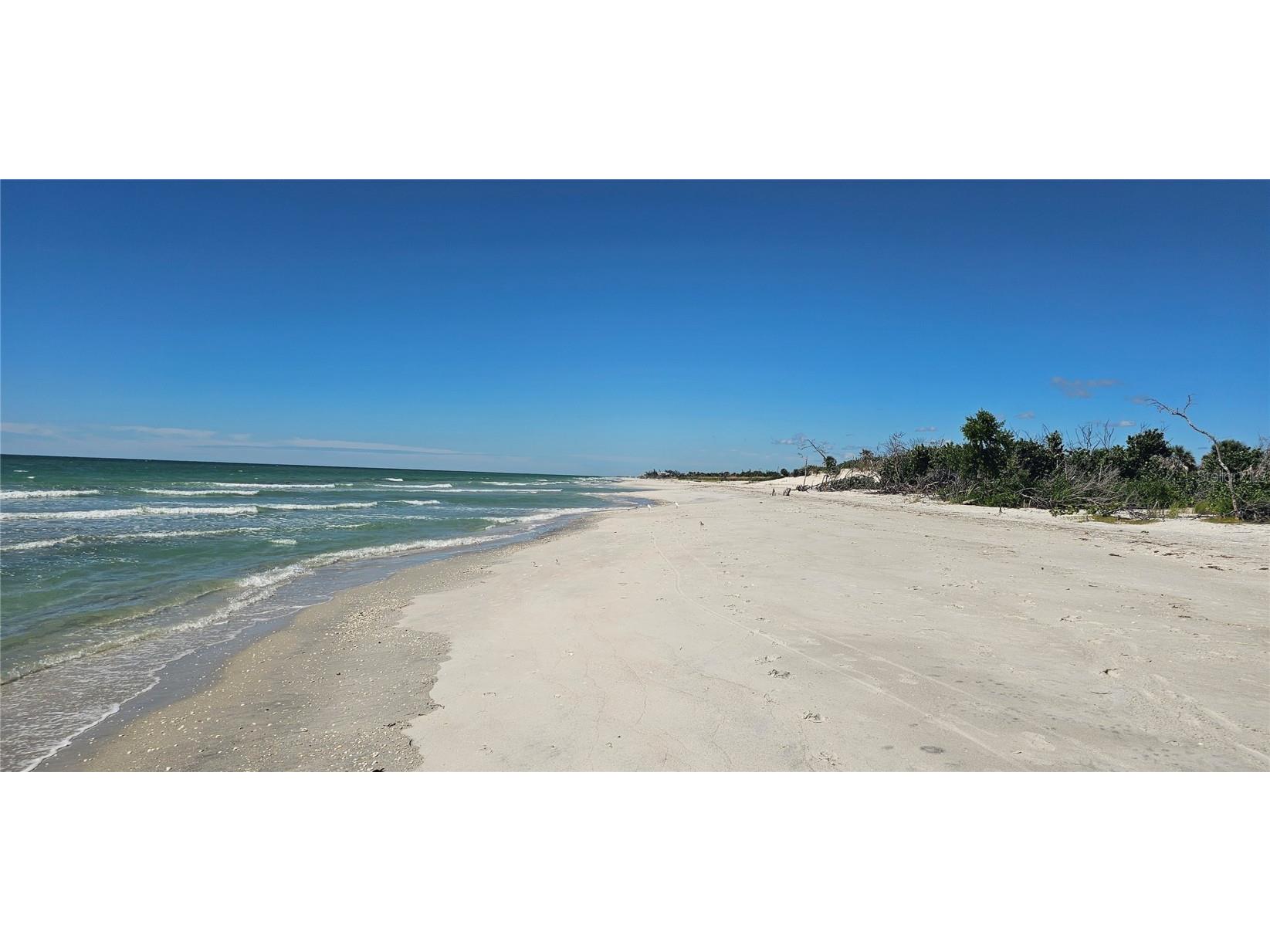 184 Rotonda Boulevard N Rotonda West FL 33947 TB8428142 image2