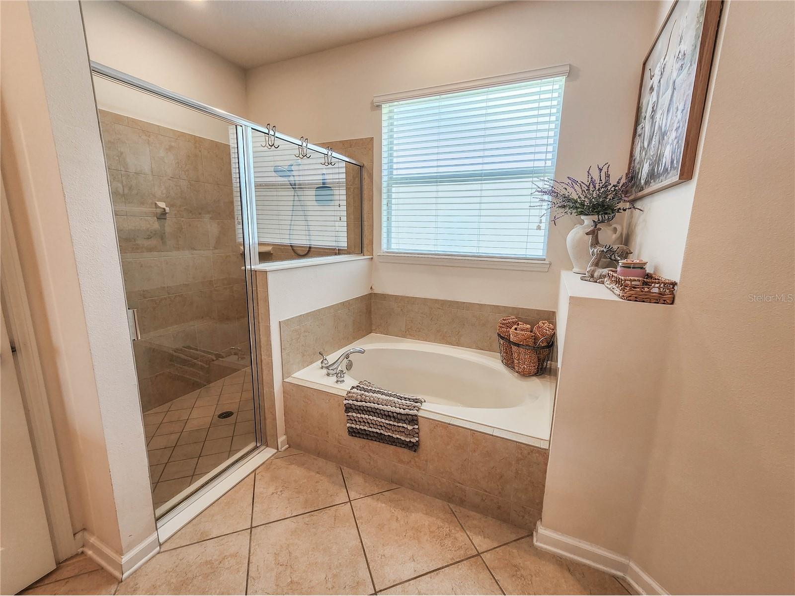 184 S Arabella Way Saint Johns FL 32259 FC318632 image30