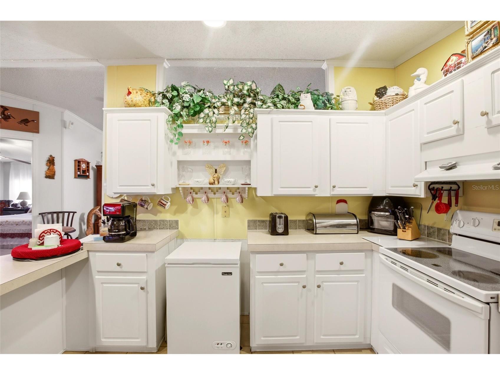 184 W Manatee Loop Punta Gorda FL 33950 C7524378 image10