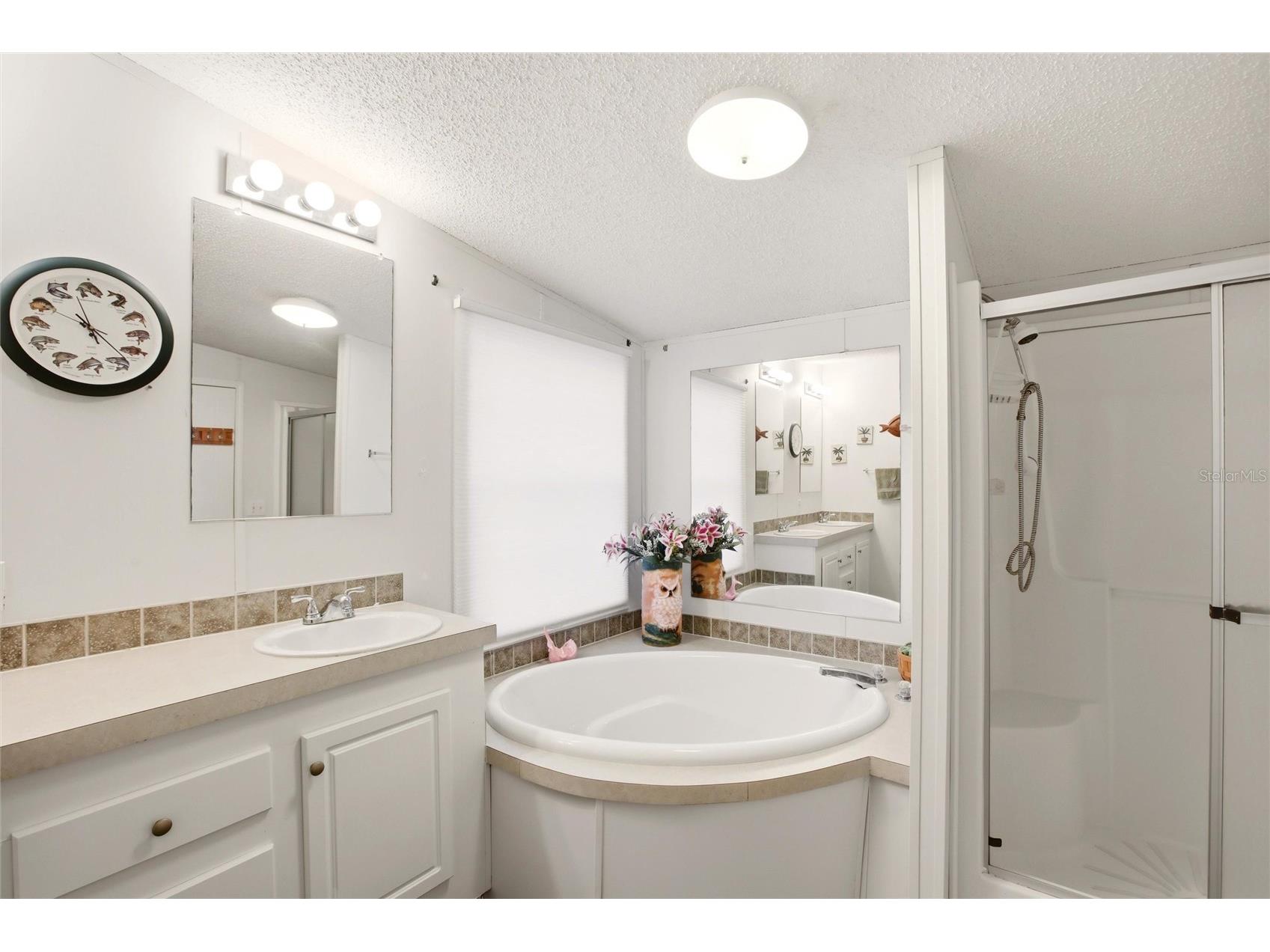 184 W Manatee Loop Punta Gorda FL 33950 C7524378 image19