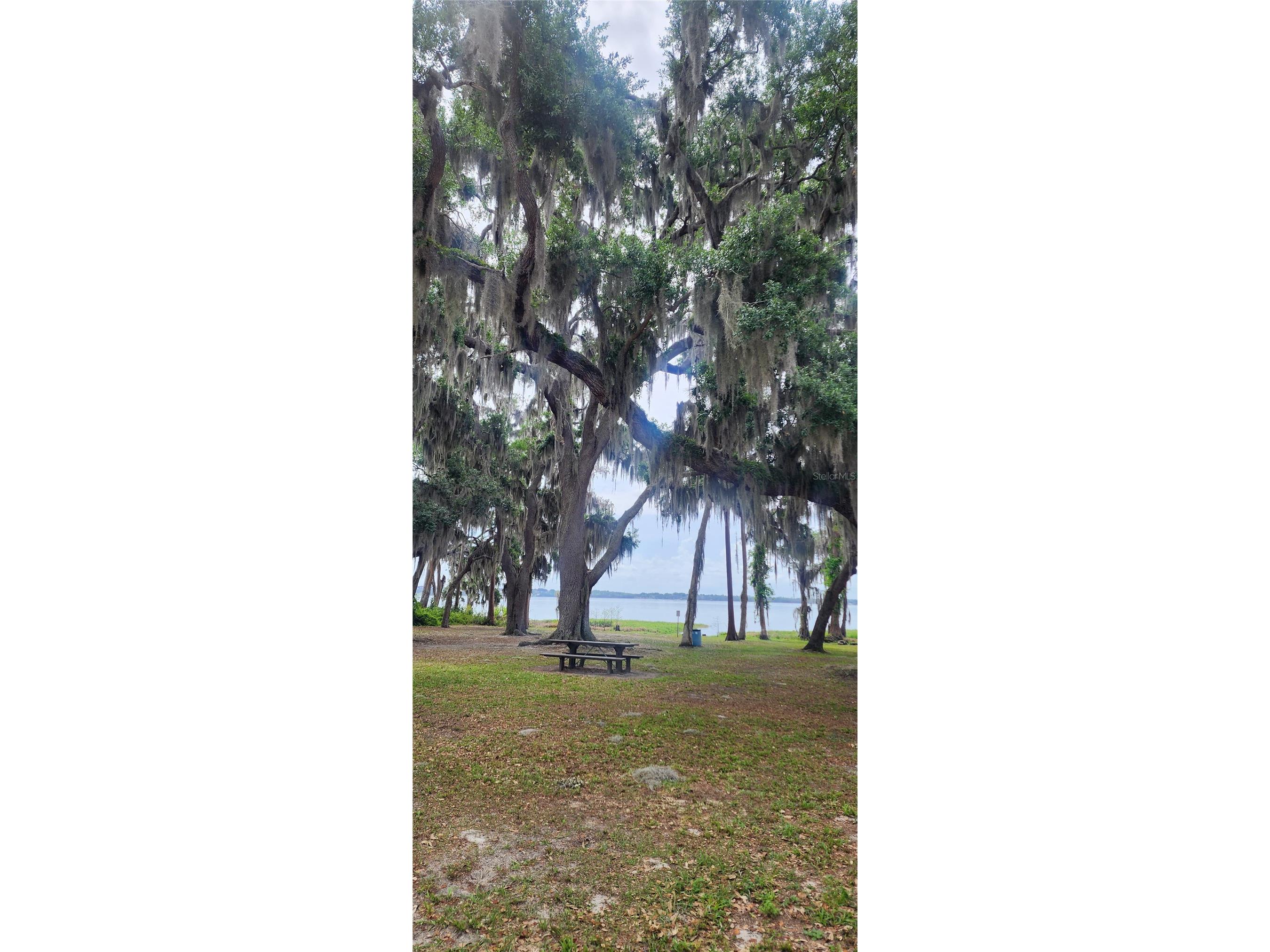 1840 12th Street Clermont FL 34711 S5147094 image27