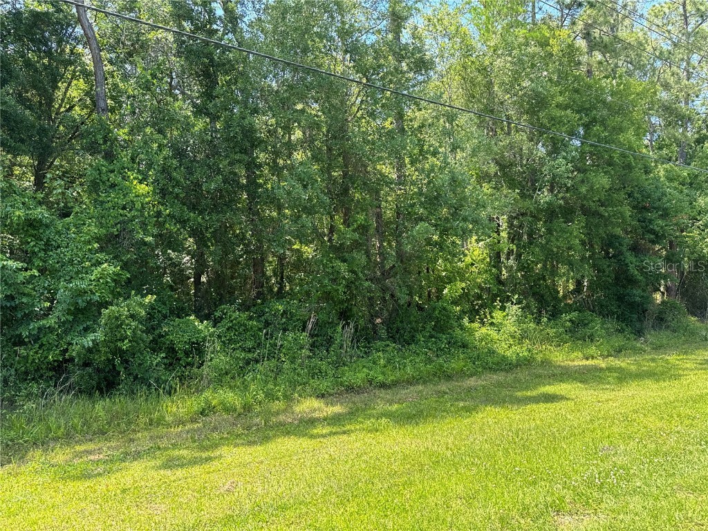 1840 Cr-305 Bunnell FL 32110 FC300288 image1