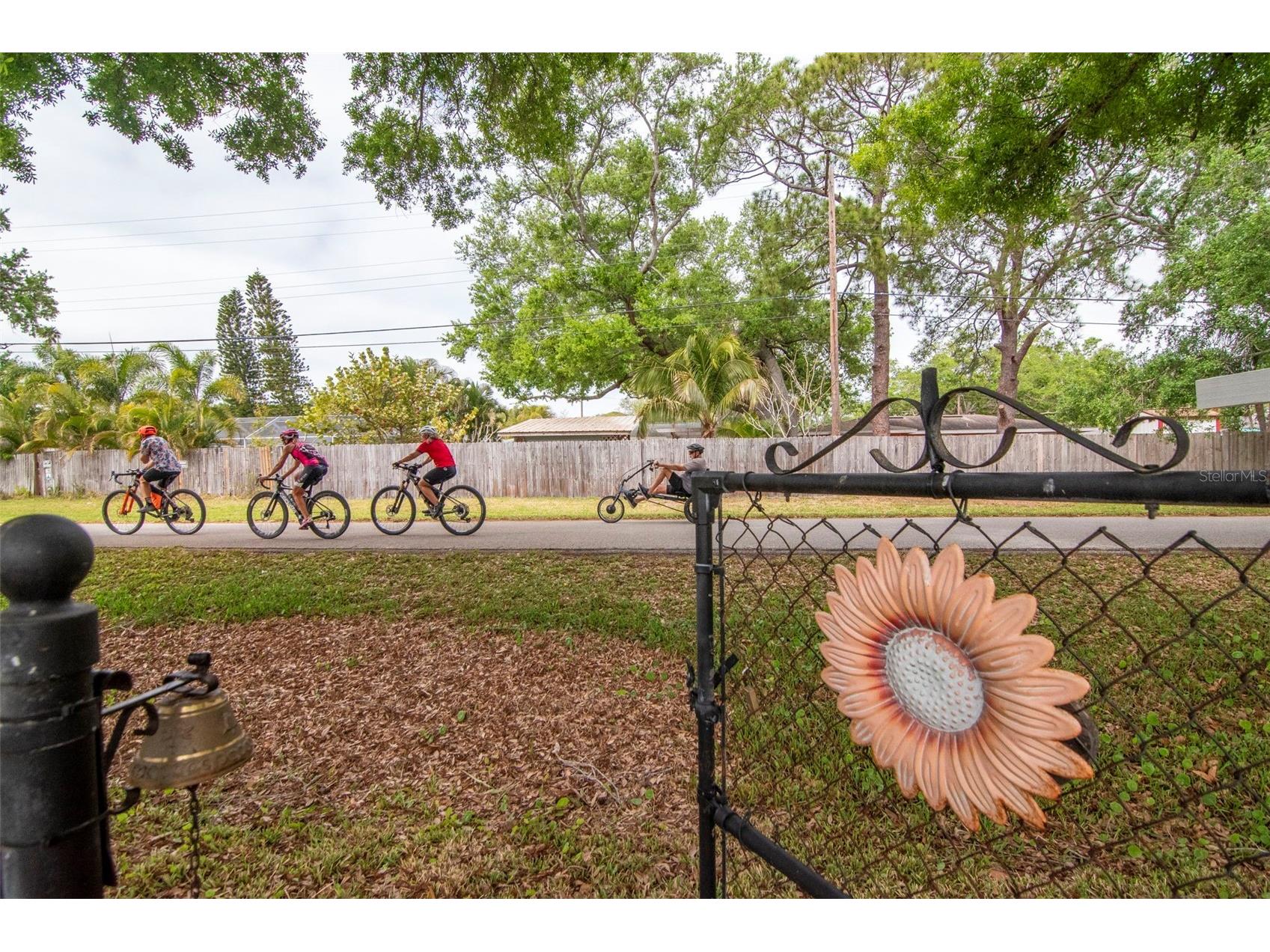 1840 Douglas Avenue Dunedin FL 34698 TB8488700 image38