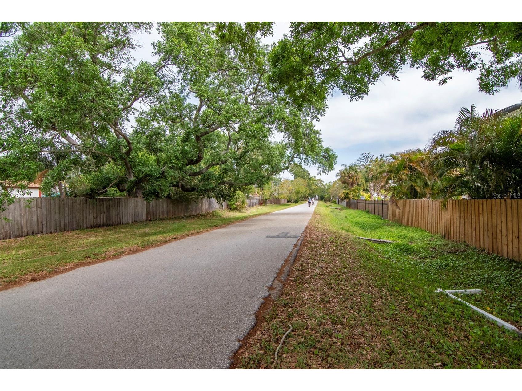 1840 Douglas Avenue Dunedin FL 34698 TB8488700 image40