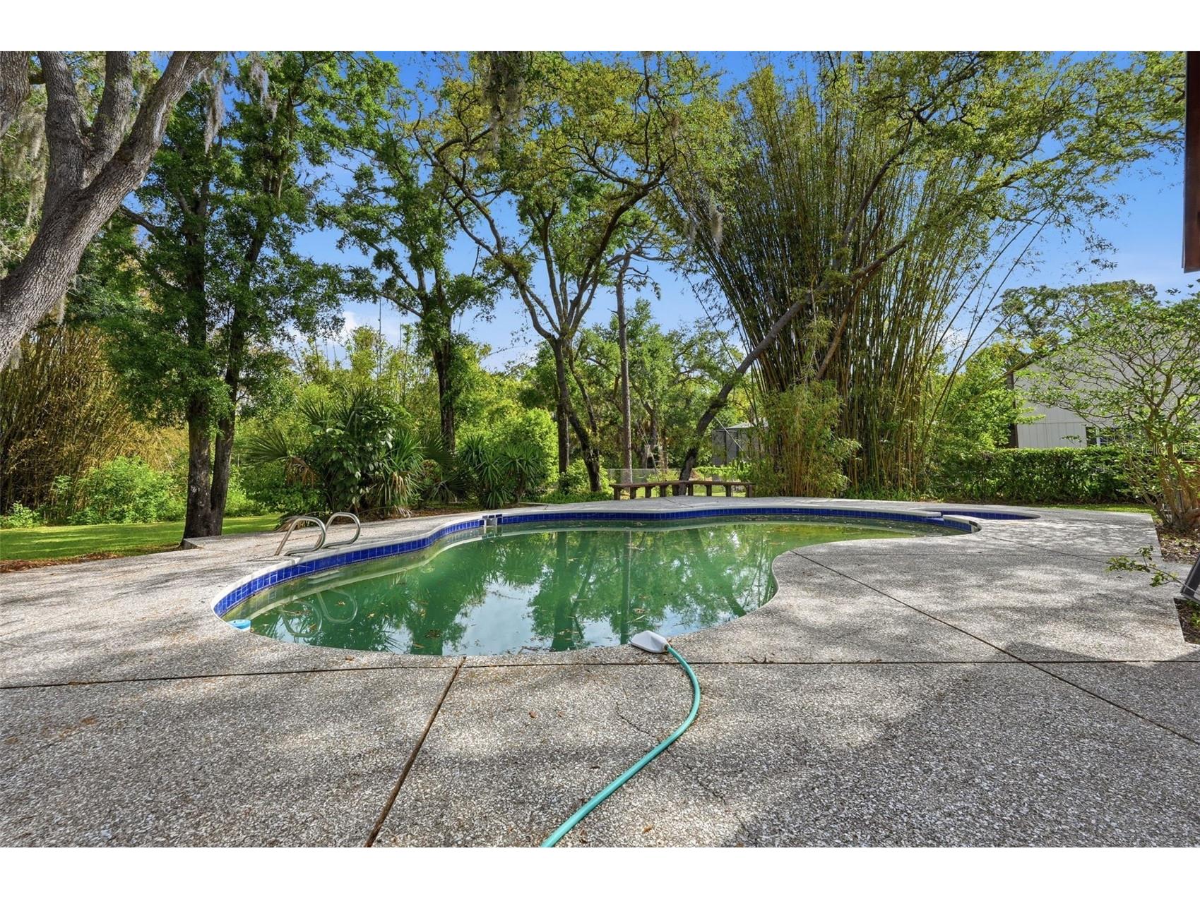 1840 Salem Court Dunedin FL 34698 TB8494774 image59