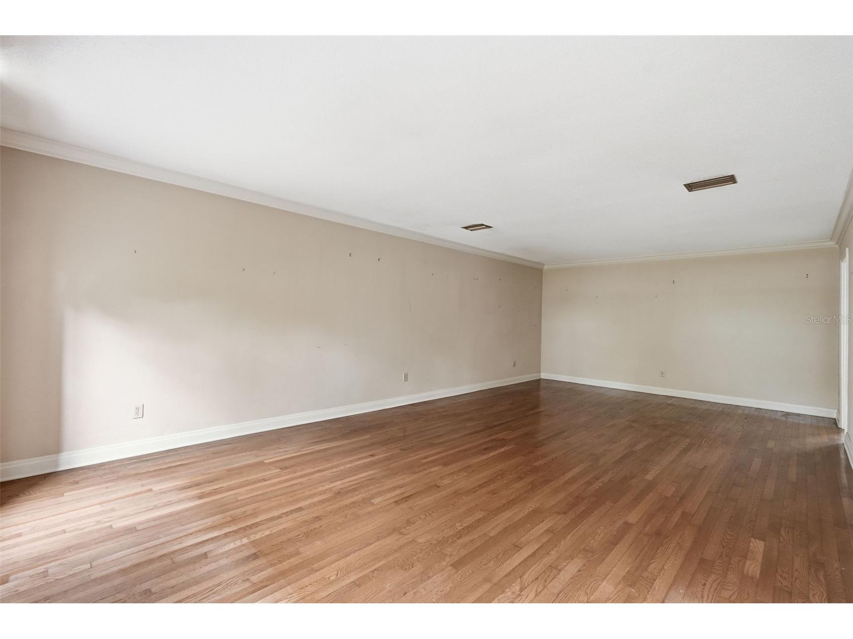 1840 Salem Court Dunedin FL 34698 TB8494774 image7