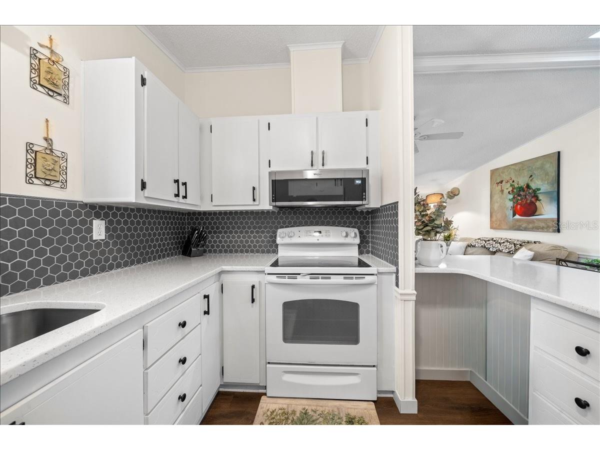 1840 W Schwartz Boulevard The Villages FL 32159 G5108529 image7