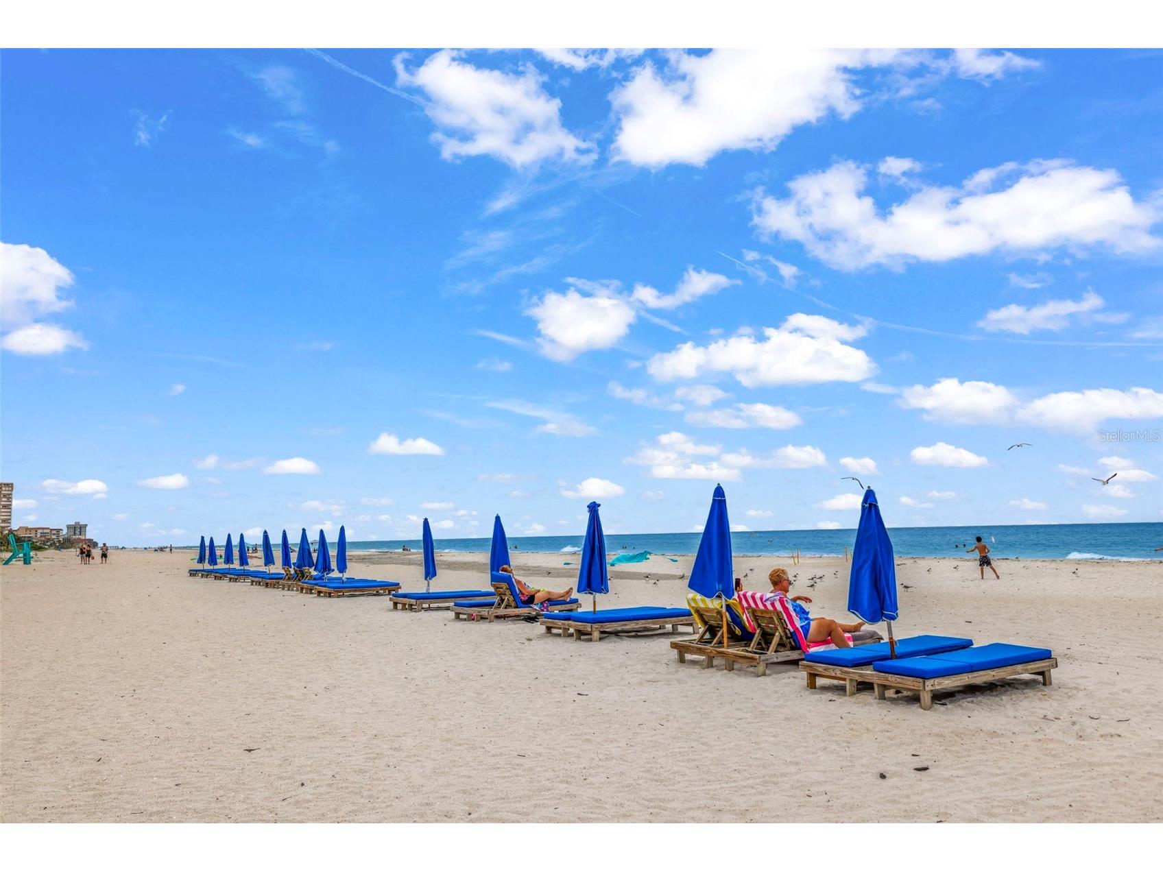 18400 Gulf Boulevard #1512 Indian Shores FL 33785 - GULF OF AMERICA TB8412218 image38