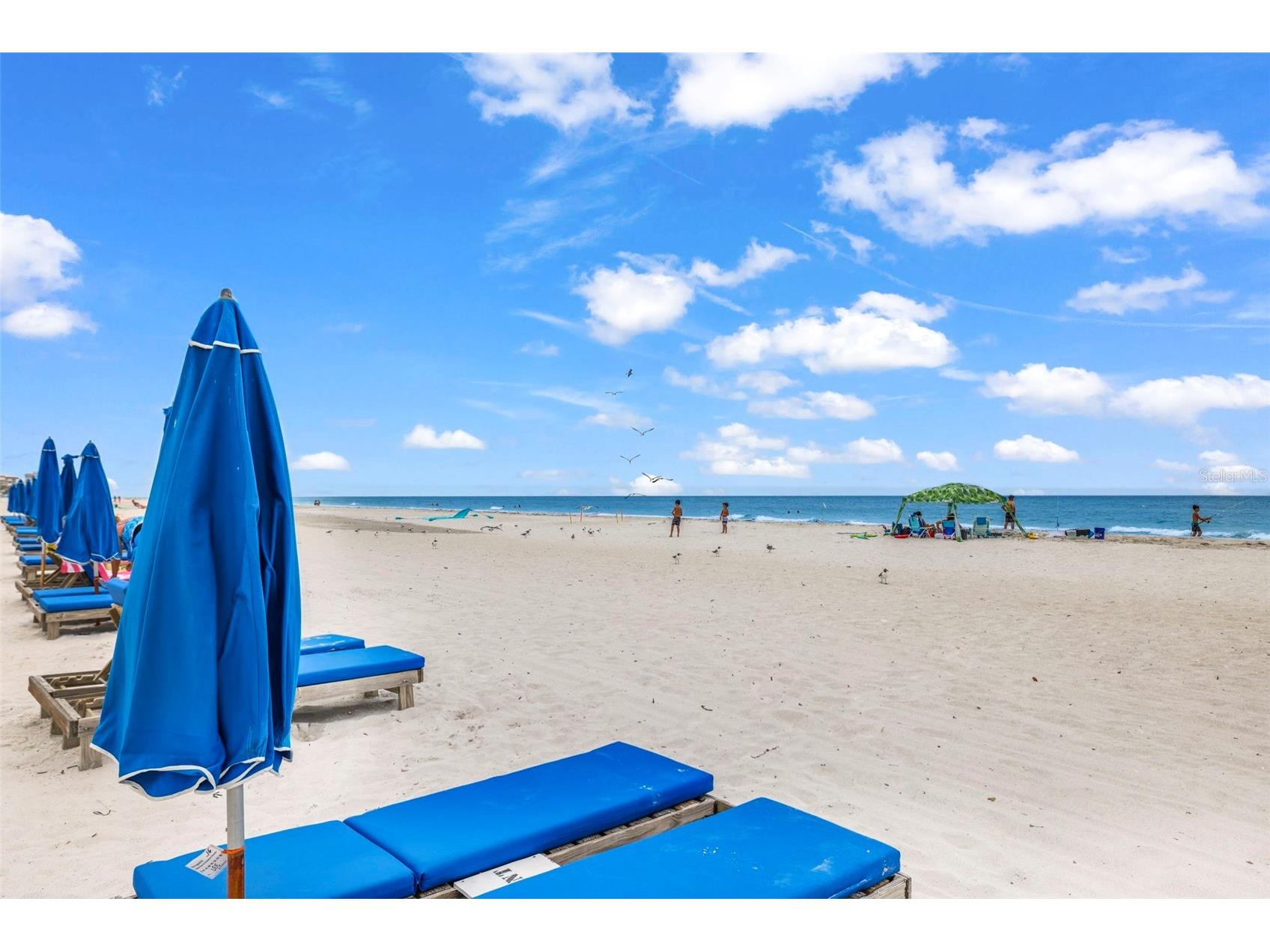 18400 Gulf Boulevard #1512 Indian Shores FL 33785 - GULF OF AMERICA TB8412218 image39