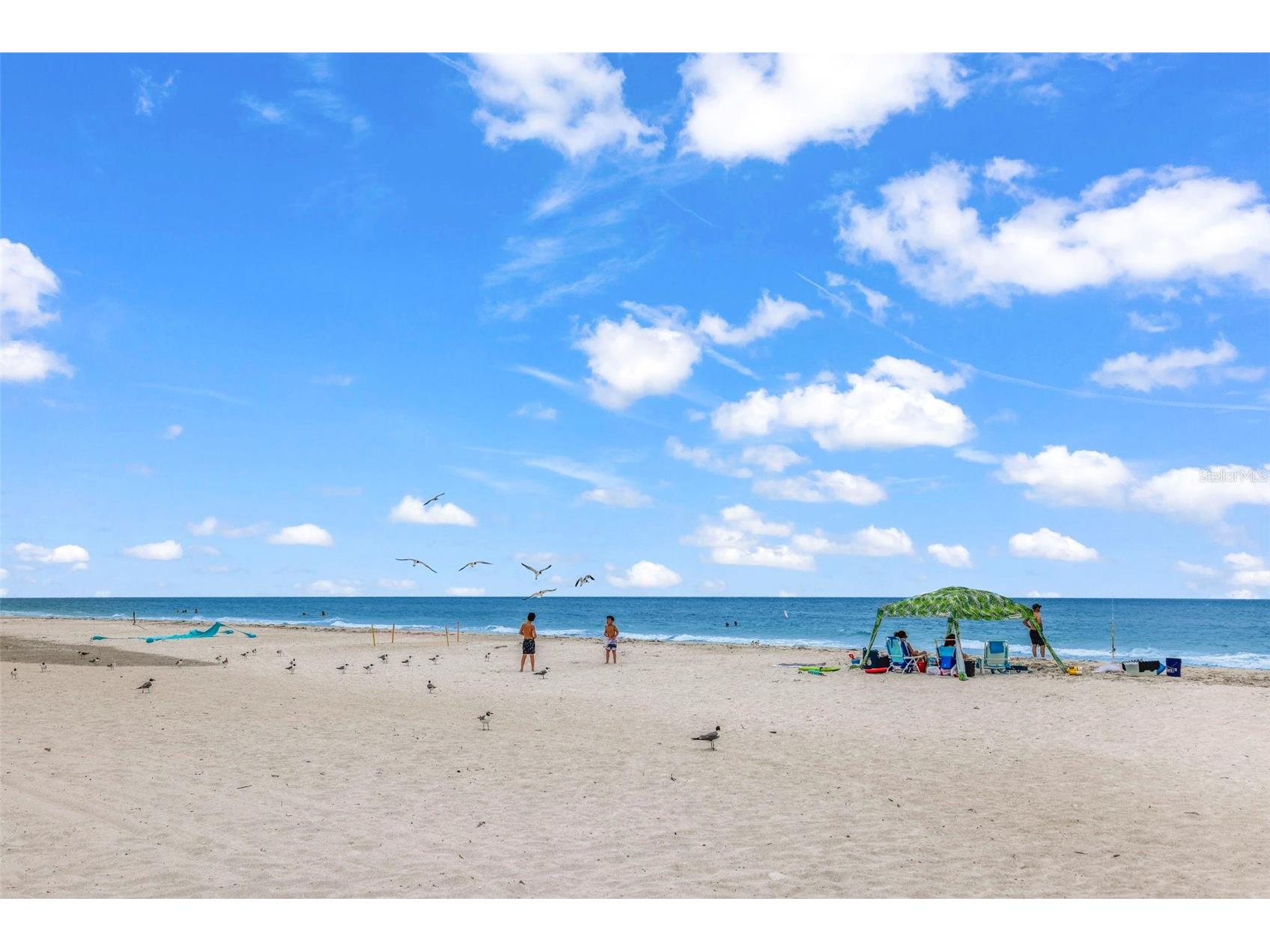 18400 Gulf Boulevard #1512 Indian Shores FL 33785 - GULF OF AMERICA TB8412218 image40