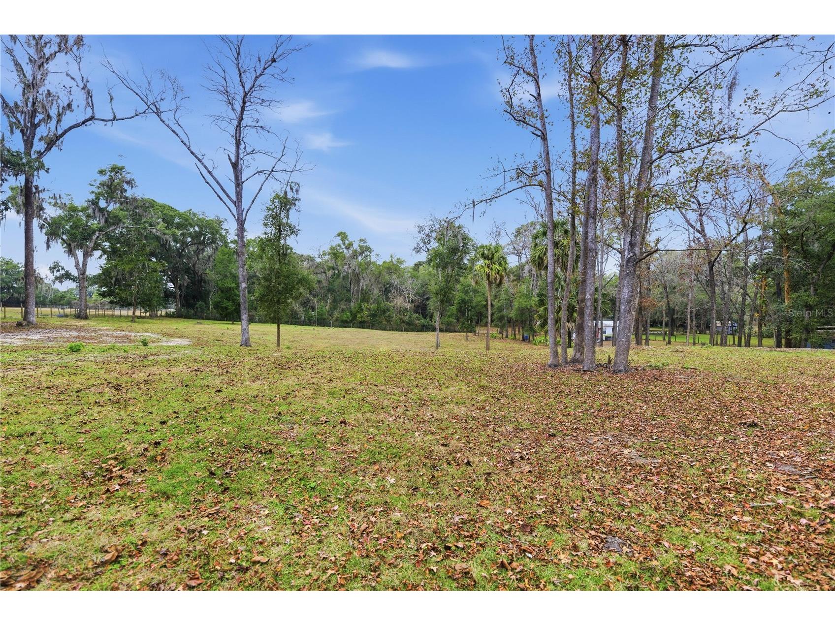 18400 N Us Highway 441 Reddick FL 32686 OM716050 image9