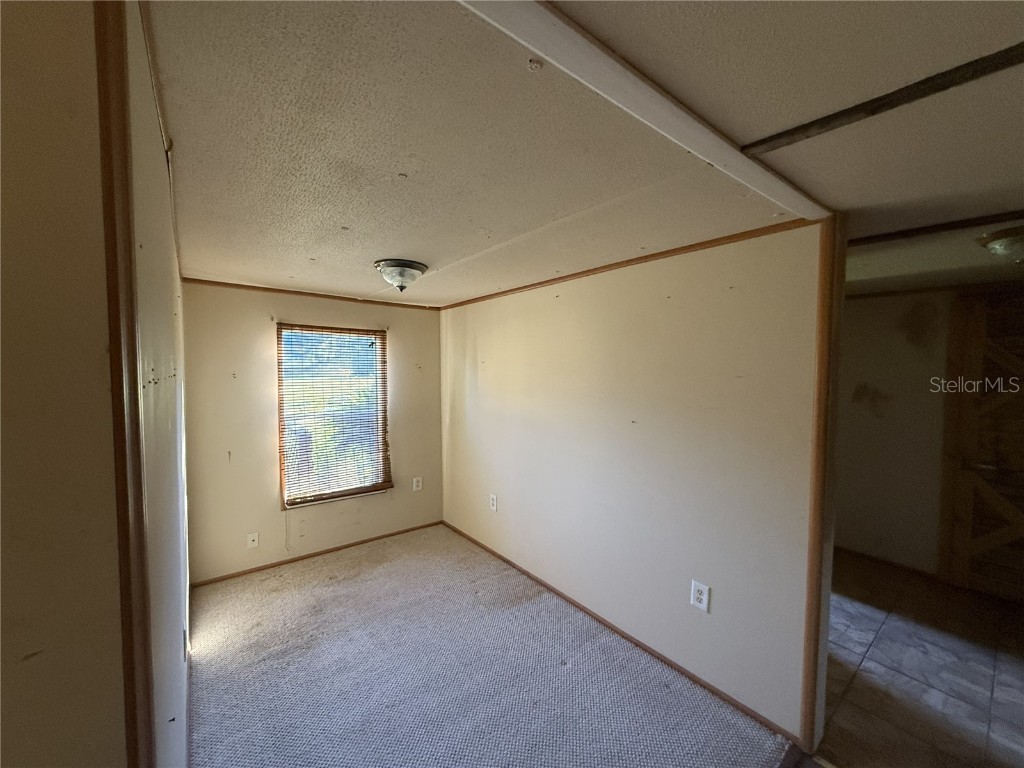 18401 Hamilton Road Dade City FL 33523 TB8356606 image42