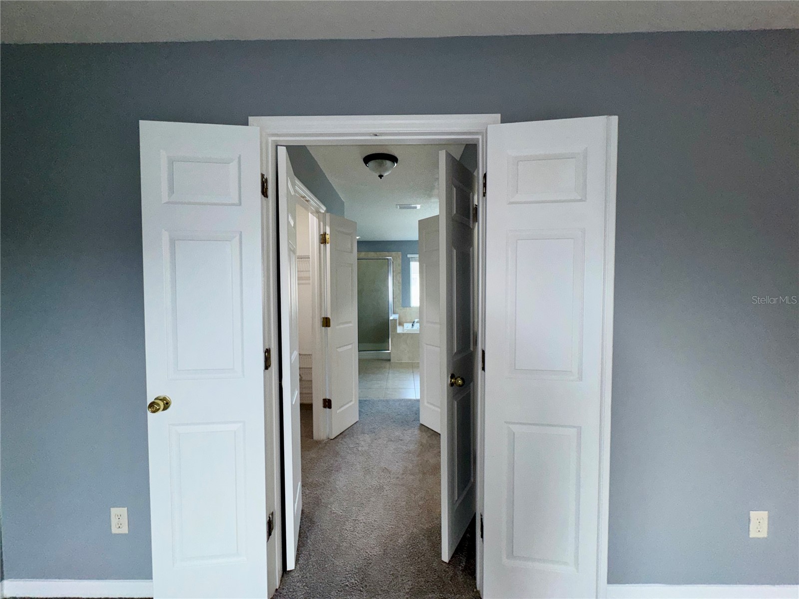 18403 Fish Loop Land O Lakes FL 34638 TB8464340 image38