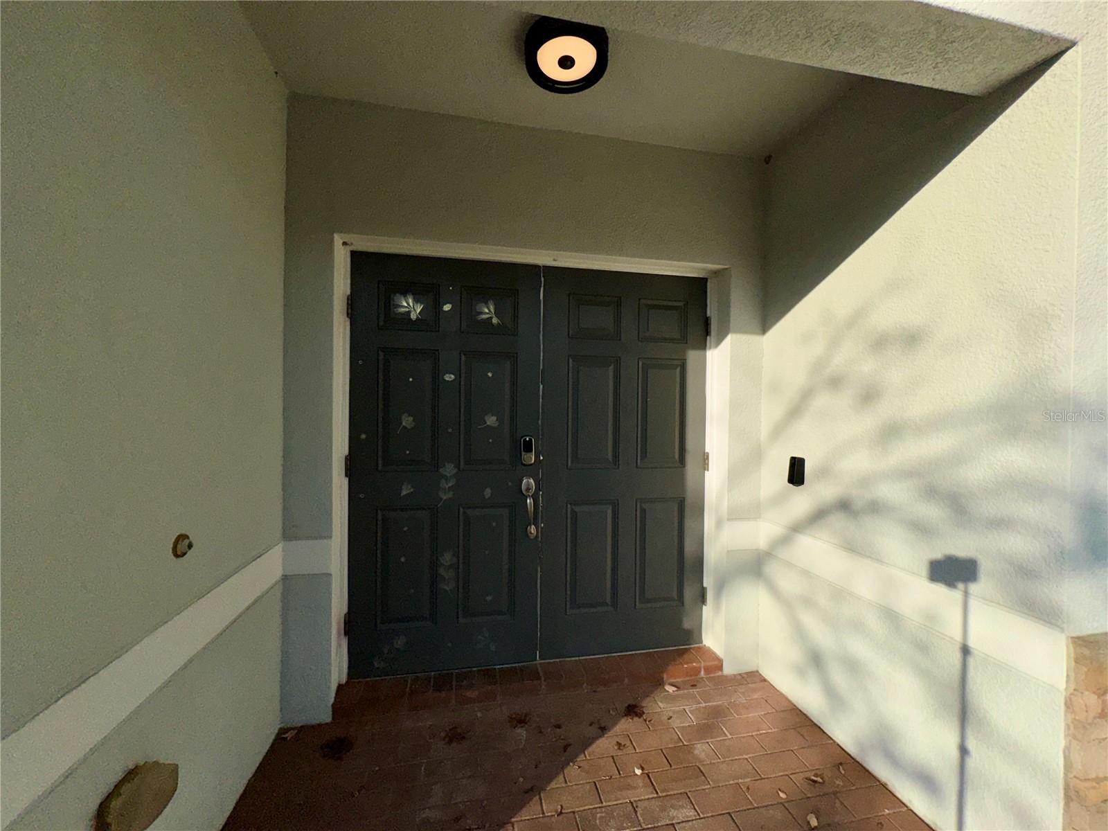 18403 Fish Loop Land O Lakes FL 34638 TB8464340 image8