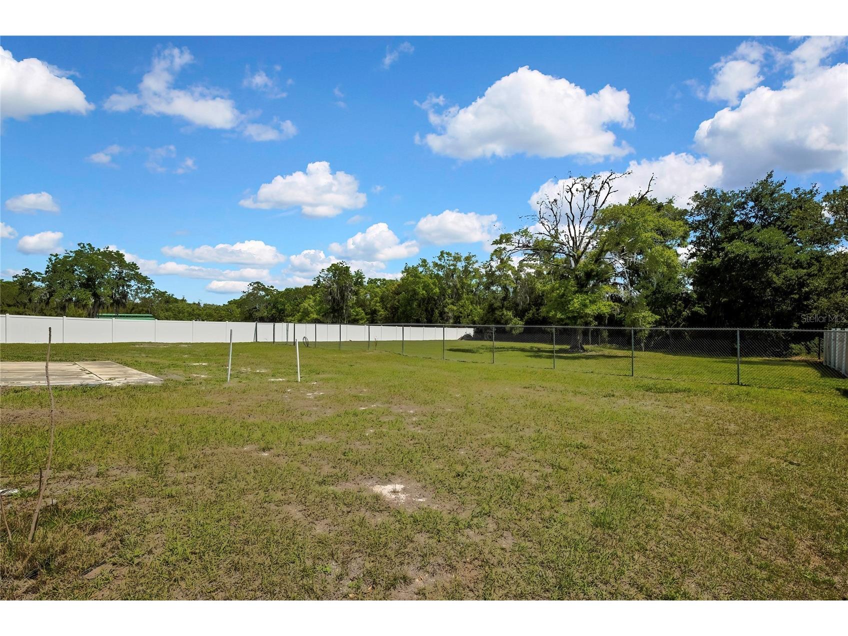 18405 30th Street Lutz FL 33559 TB8492782 image24