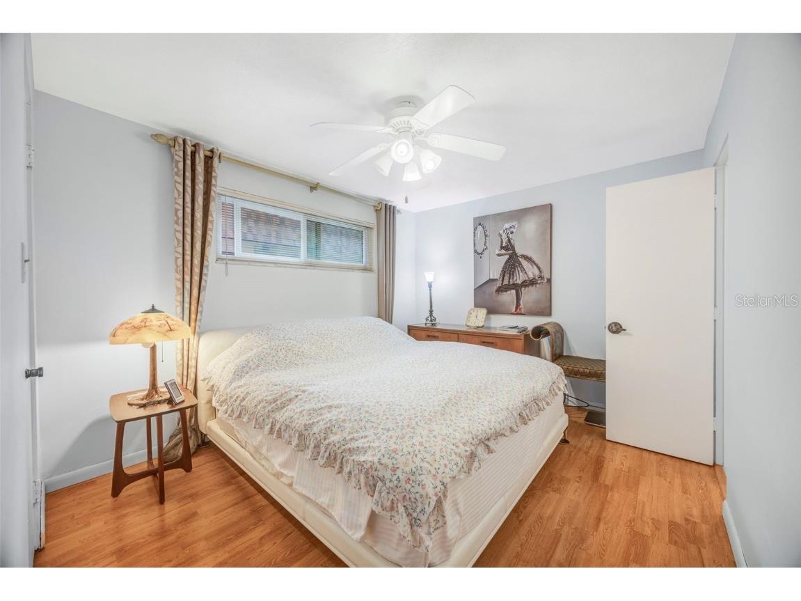 18405 Tomlinson Drive Lutz FL 33549 - LAKE HANNA TB8442220 image22