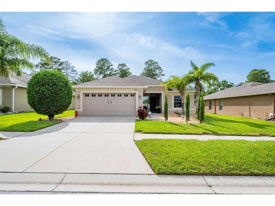 18405 Waydale Loop Hudson FL 34667 O6239882 image1