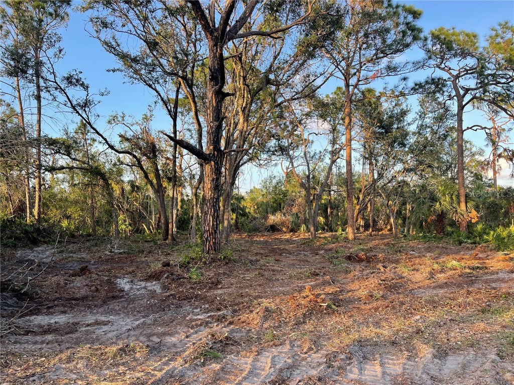 18406 Gypsy Avenue Port Charlotte FL 33954 C7467119 image1