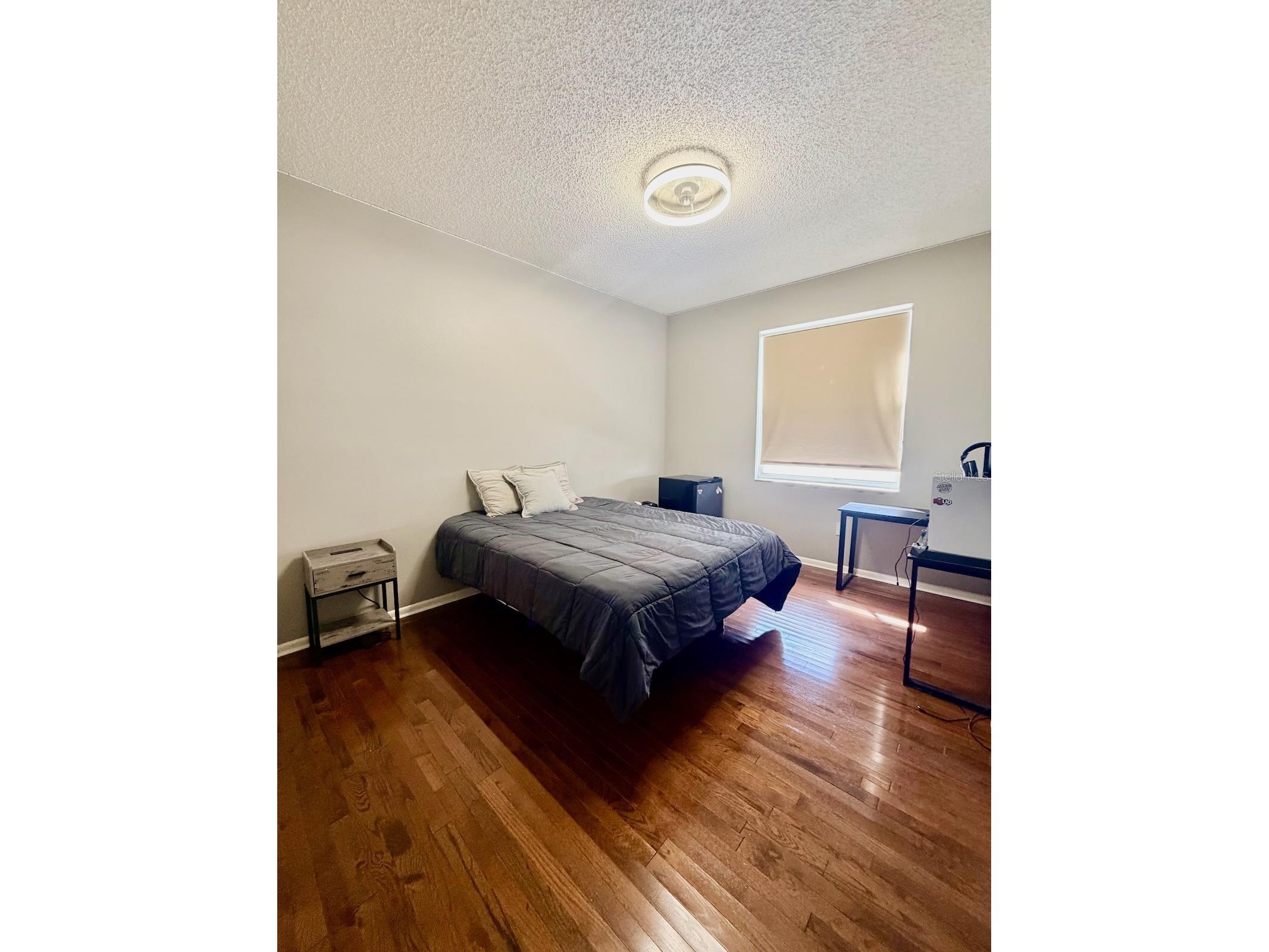 18408 Bittern Avenue Lutz FL 33558 O6388842 image12