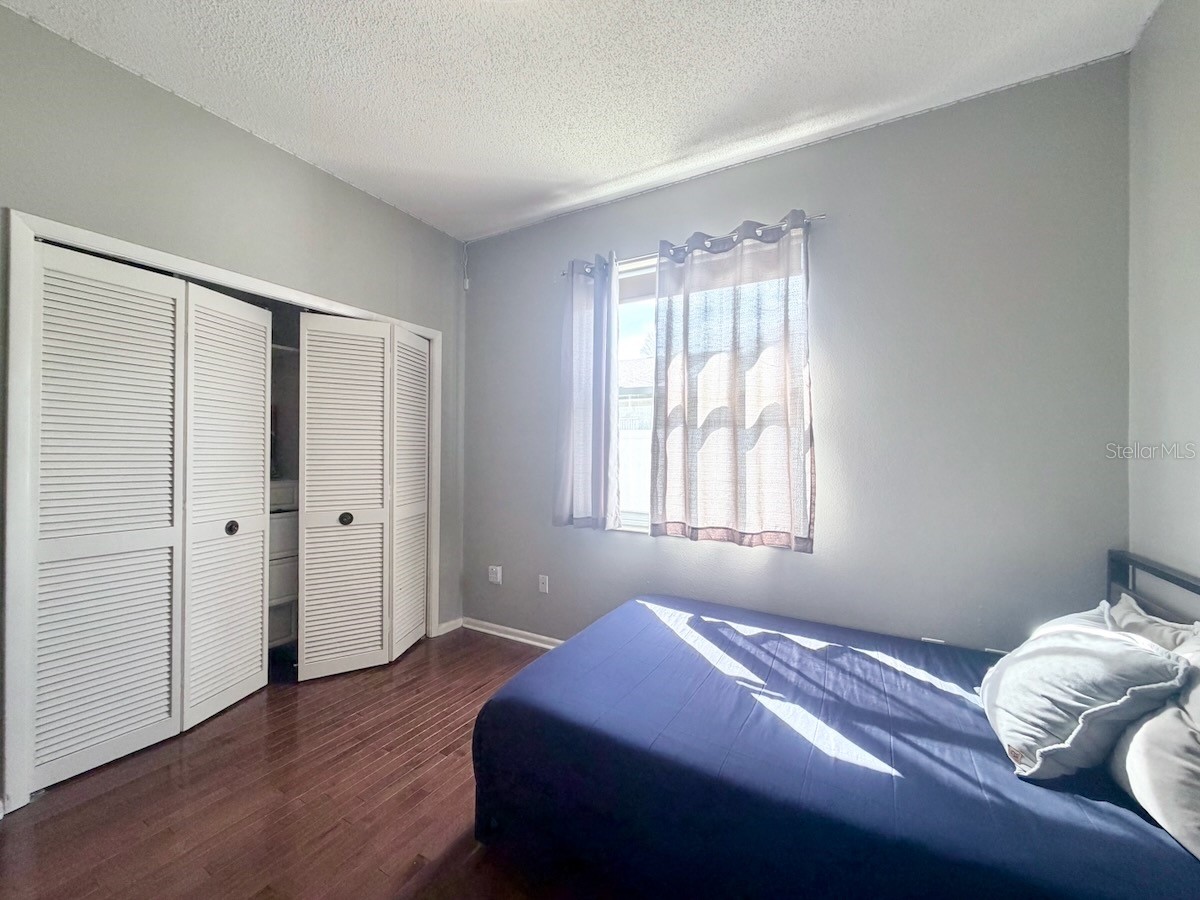 18408 Bittern Avenue Lutz FL 33558 O6388842 image17