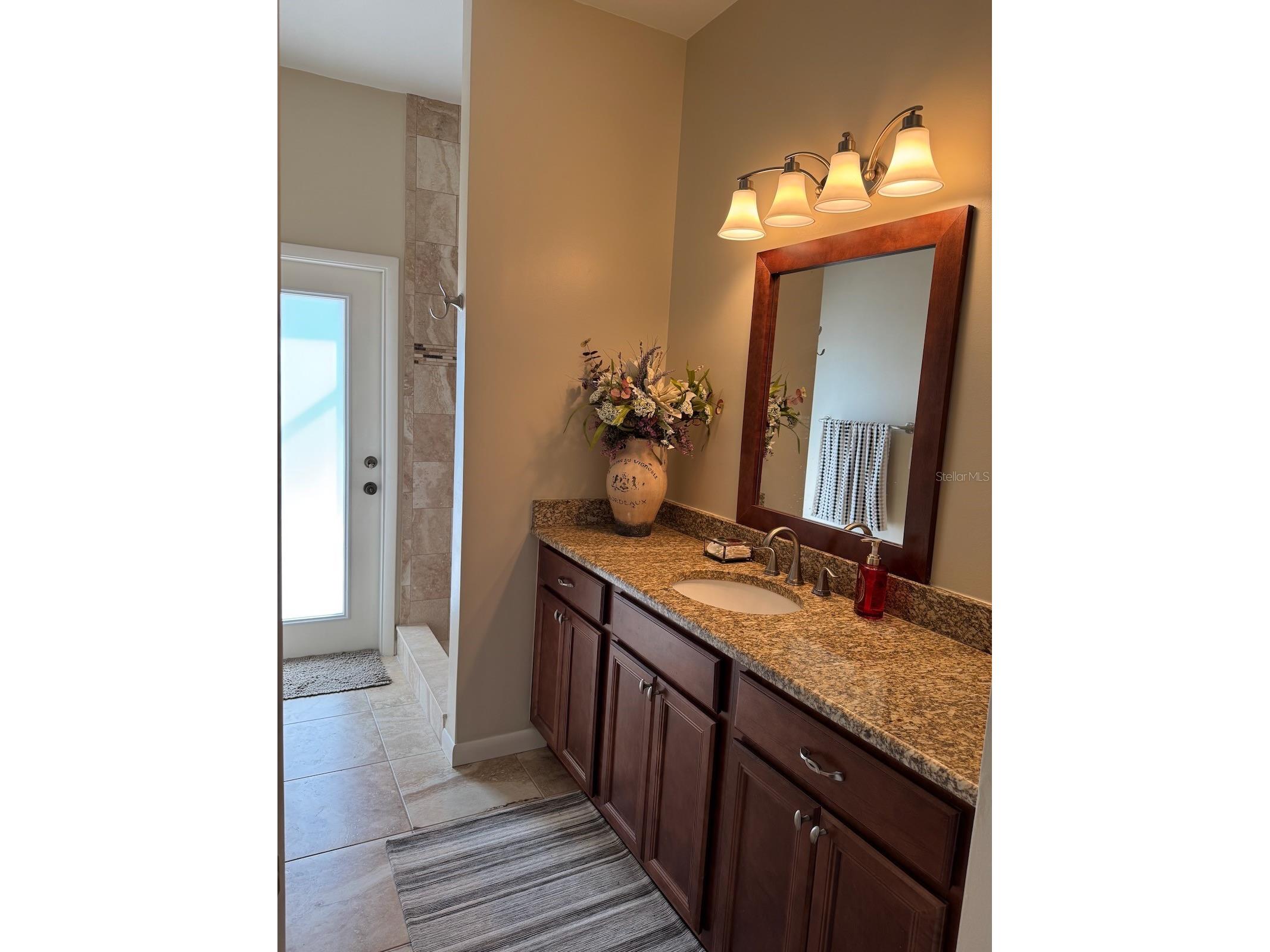 18408 Bittern Avenue Lutz FL 33558 O6388842 image22