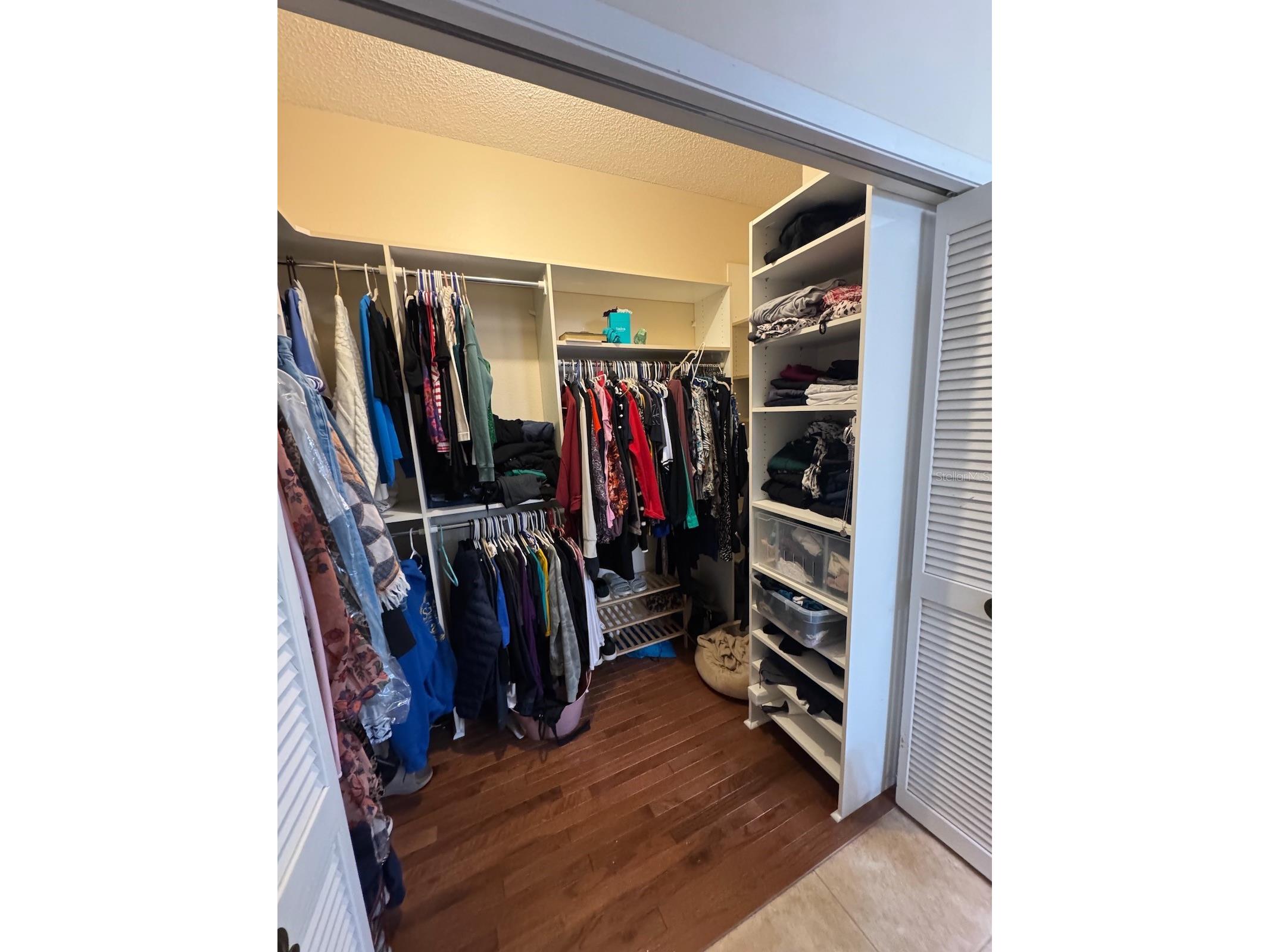 18408 Bittern Avenue Lutz FL 33558 O6388842 image26