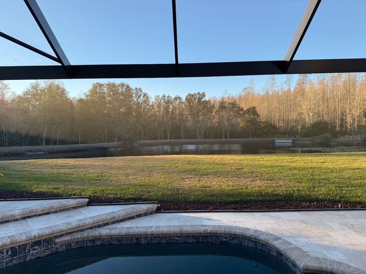 18408 Bittern Avenue Lutz FL 33558 O6388842 image29