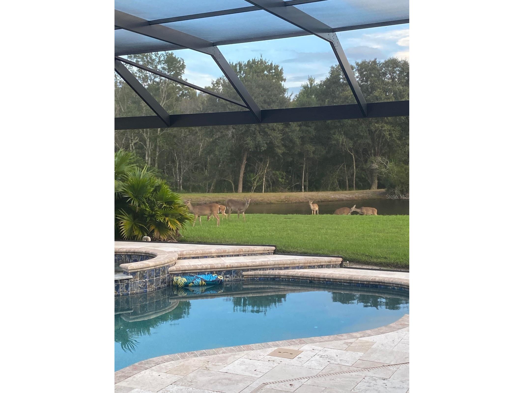 18408 Bittern Avenue Lutz FL 33558 O6388842 image31