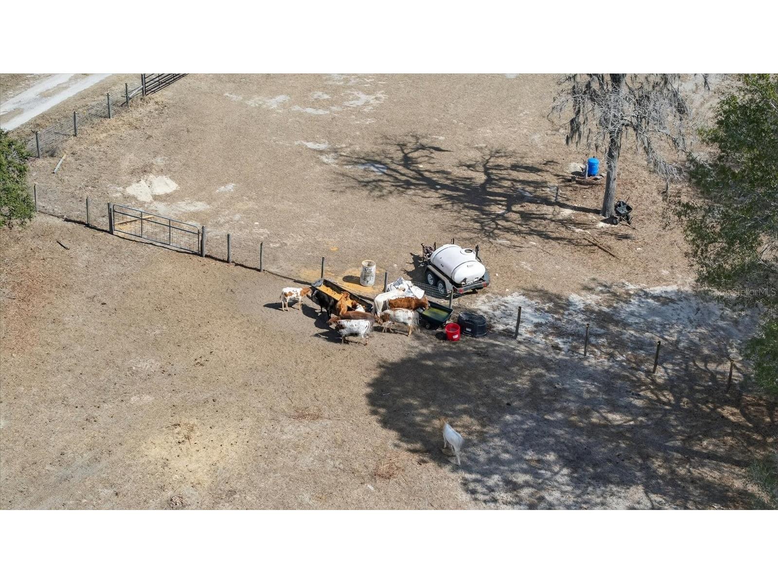 18409 Rigsby Road Spring Hill FL 34610 TB8476389 image25