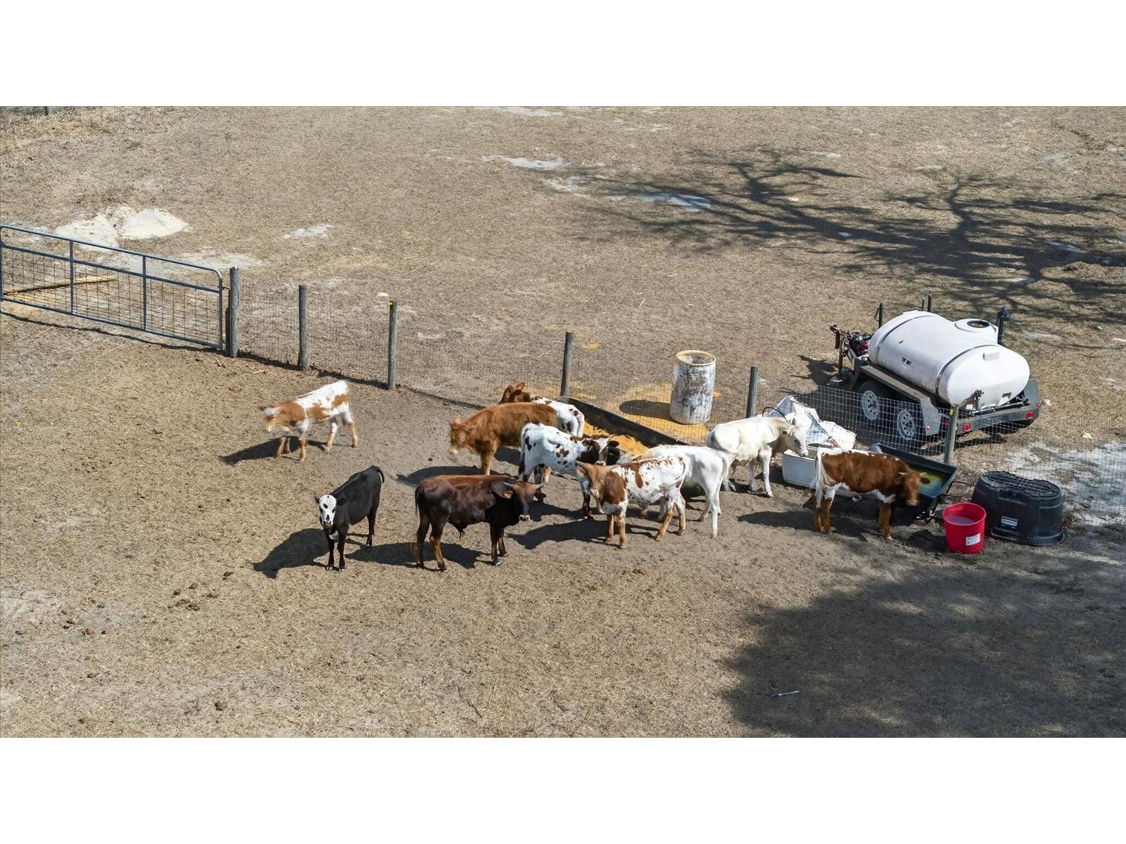 18409 Rigsby Road Spring Hill FL 34610 TB8476389 image26