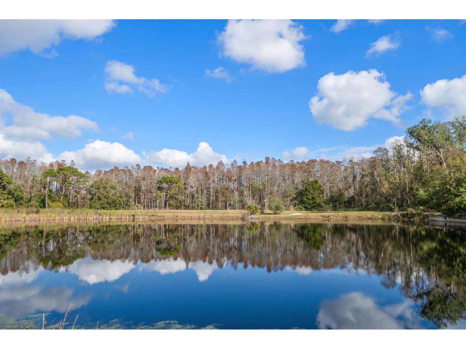 18409 Tyler Road Odessa FL 33556 TB8471433 image2