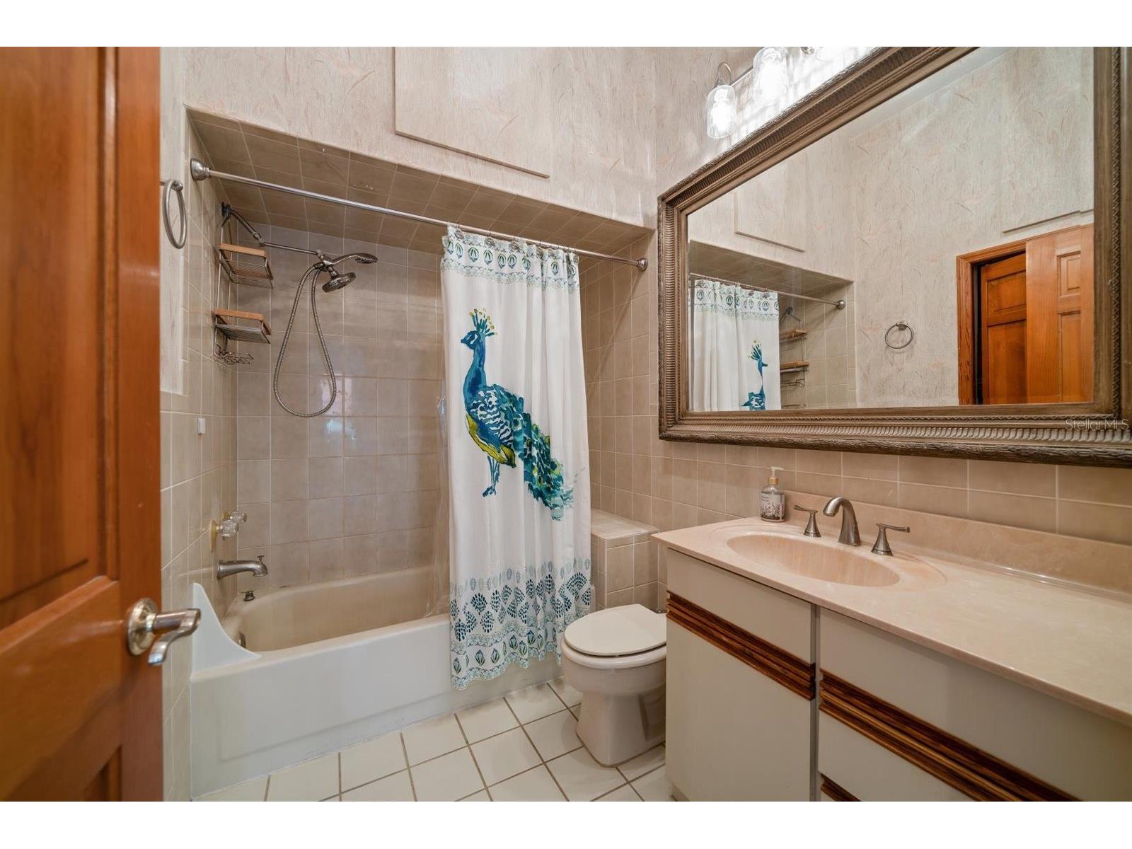 18409 Tyler Road Odessa FL 33556 TB8471433 image43