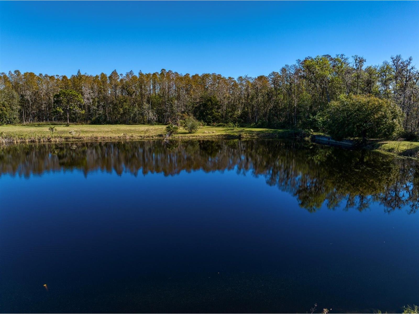 18409 Tyler Road Odessa FL 33556 TB8471433 image56