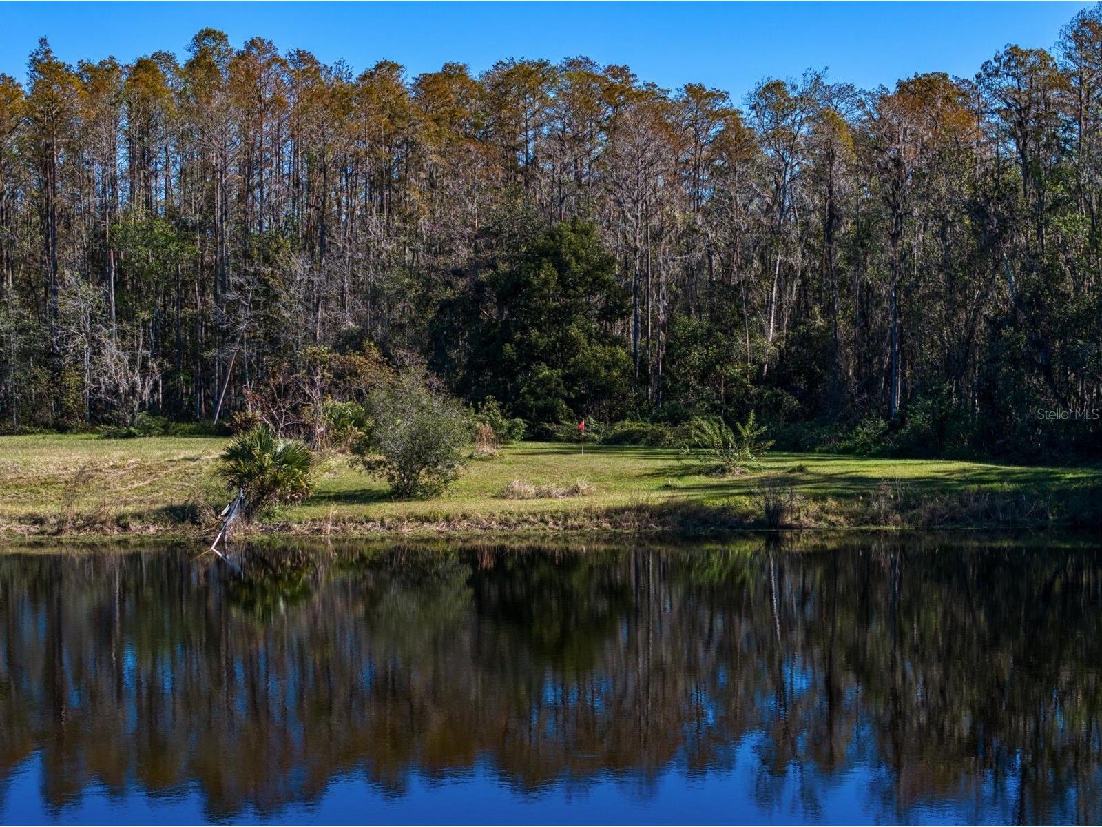 18409 Tyler Road Odessa FL 33556 TB8471433 image58