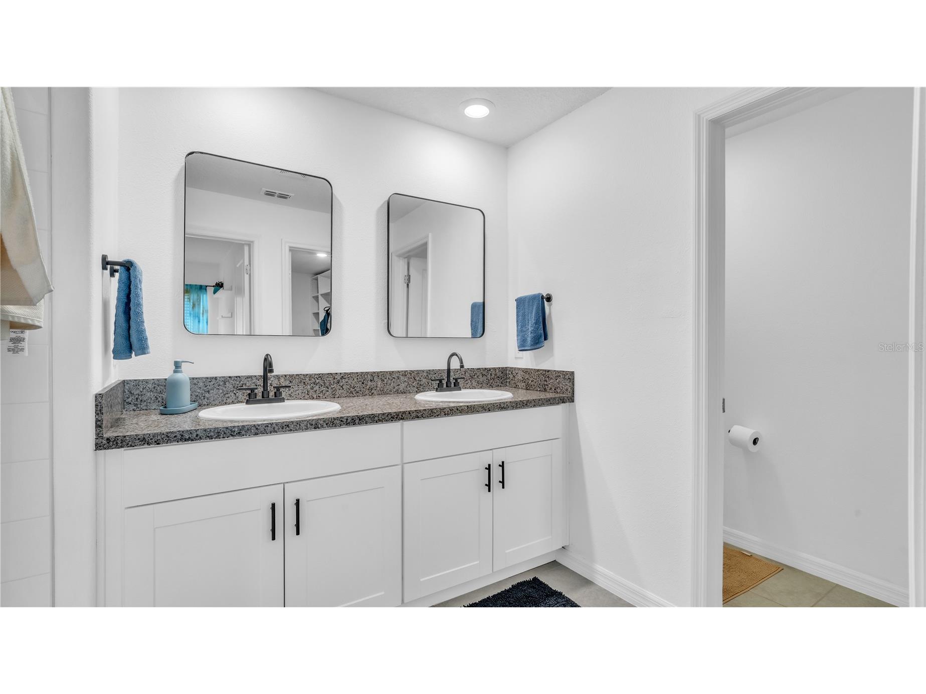1841 Crinkle Leaf Court Ruskin FL 33570 TB8502618 image24