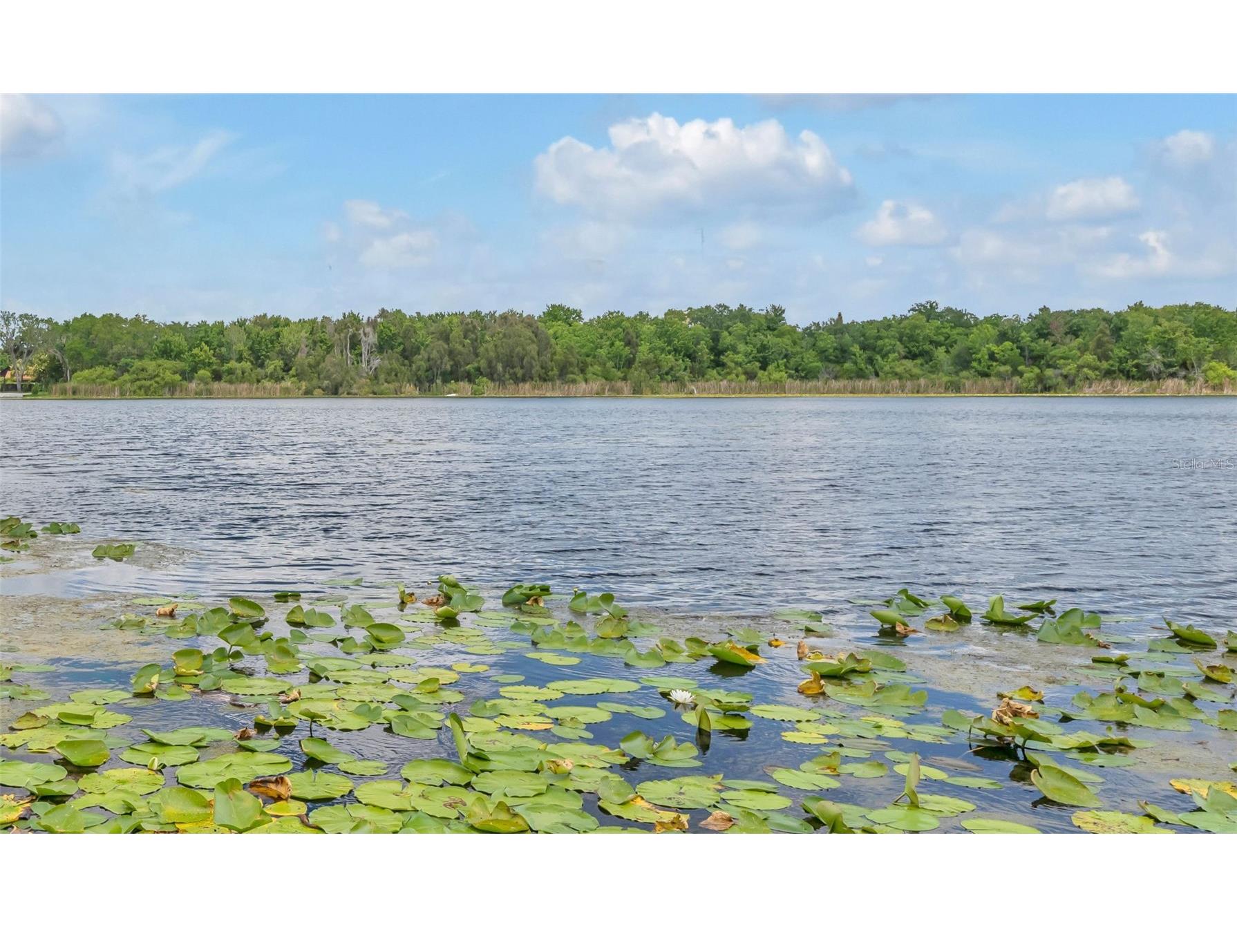 1841 Lake Spier Drive Winter Park FL 32789 - LAKE SPIER O6407841 image2