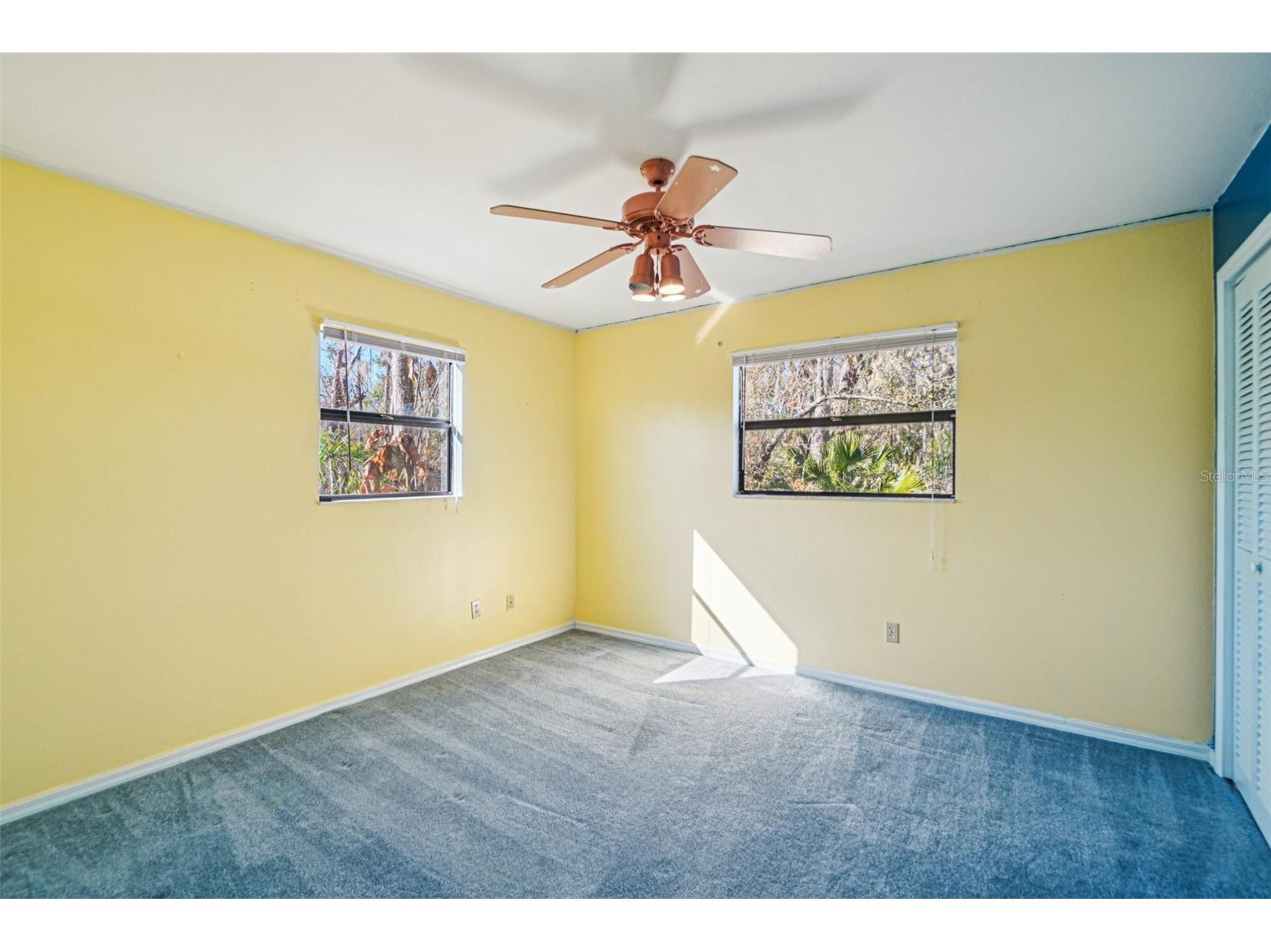 18411 Autumn Mist Drive Lutz FL 33549 A4681939 image10