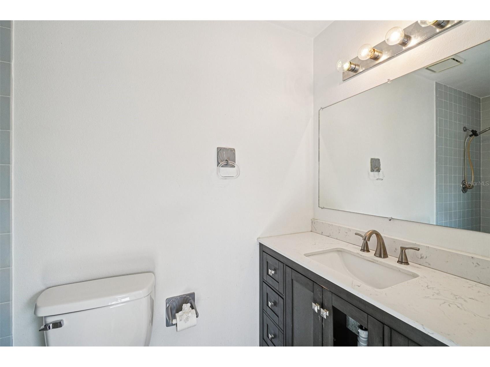 18411 Autumn Mist Drive Lutz FL 33549 A4681939 image12