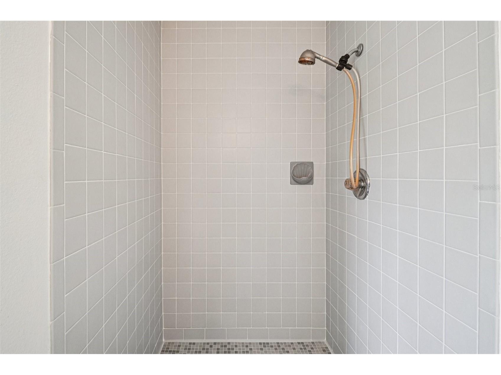 18411 Autumn Mist Drive Lutz FL 33549 A4681939 image13