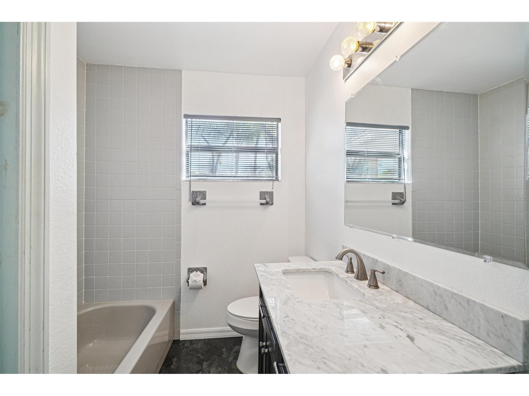 18411 Autumn Mist Drive Lutz FL 33549 A4681939 image14