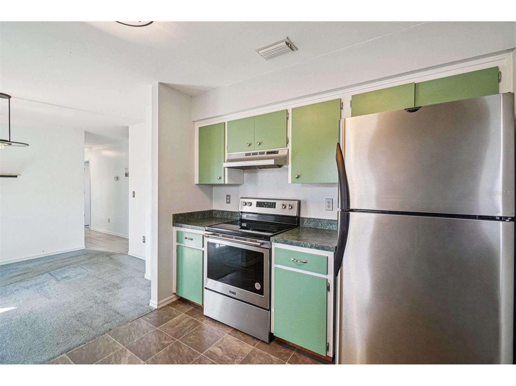 18411 Autumn Mist Drive Lutz FL 33549 A4681939 image8