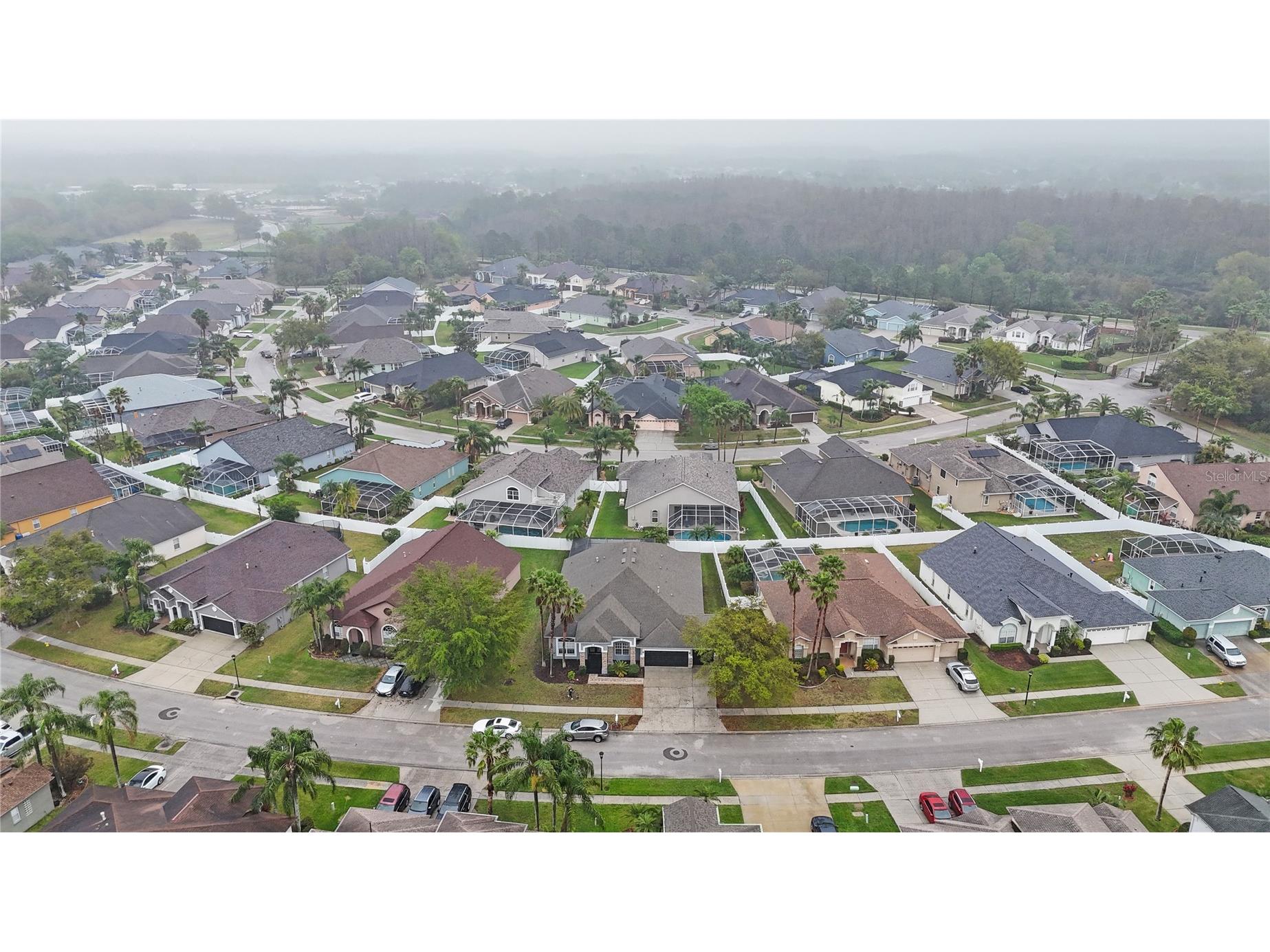 18413 Eastwyck Drive Tampa FL 33647 TB8361167 image33