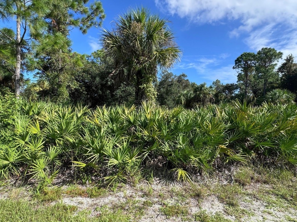 18414 Lincoya Avenue Port Charlotte FL 33954 TB8307934 image1