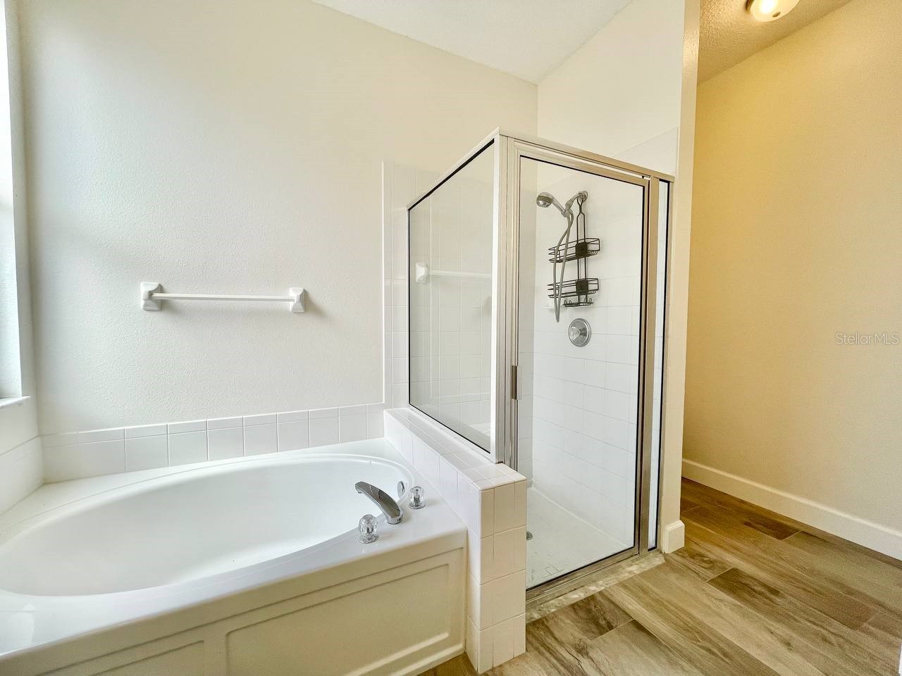 18417 Meadow Blossom Lane Tampa FL 33647 TB8521891 image19