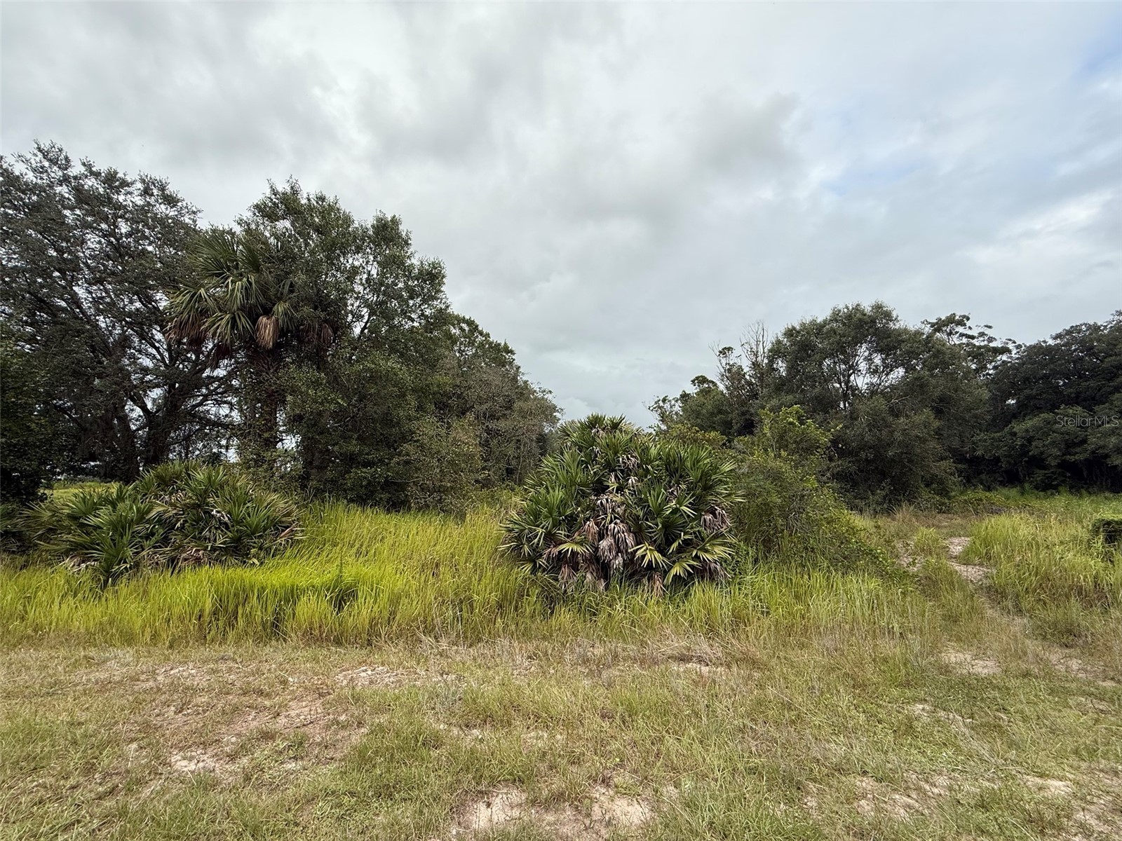18417 NW 254th Street Okeechobee FL 34972 K4903327 image1