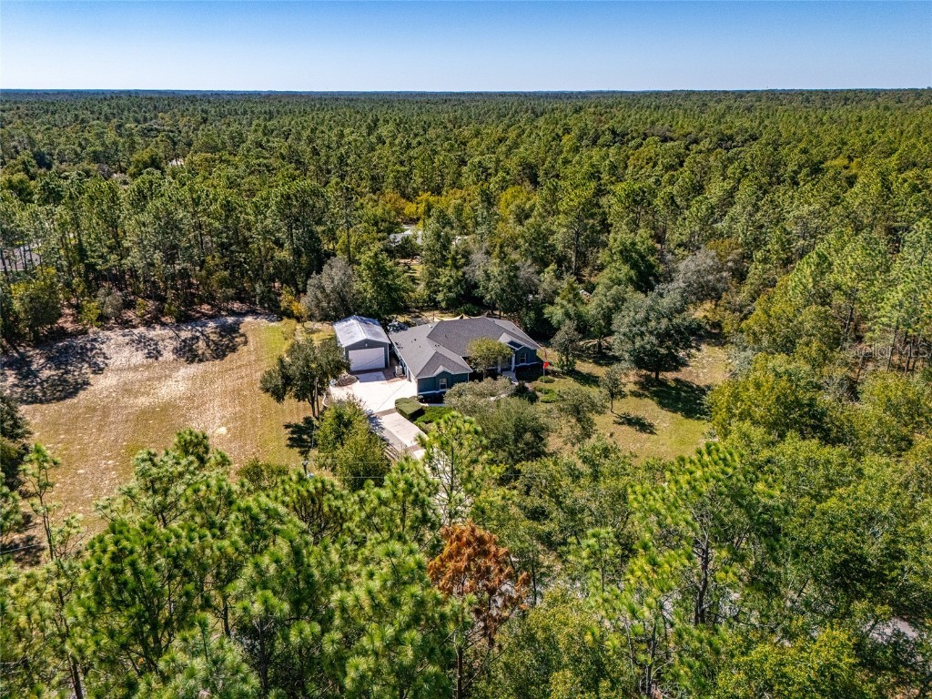 18417 SW 66th Loop Dunnellon FL 34432 - RAINBOW RIVER OM711895 image14